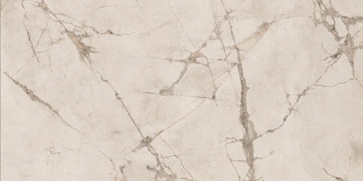 Керамогранит Ariana Ceramica Epoque White Lap 60x120