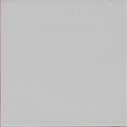 Керамогранит Ragno Amuri Bianco Glossy 20x20