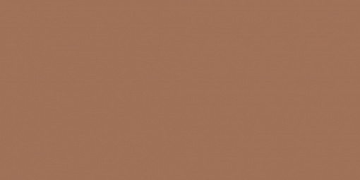 Керамогранит Baldocer Montmartre Rect Terre 60x120