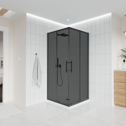 Душевой уголок Veconi Evo 300 B 100х80 E3-B-10080-12-C9 черный матовый