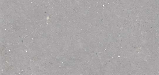 Керамогранит Simpolo Fossil Stx Grey 3PC 60x120
