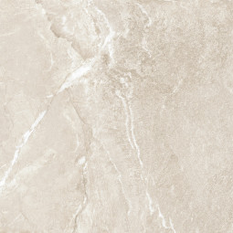Керамогранит Delacora Wild Gold D60262M Матовый 60x60