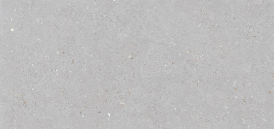 Керамогранит Simpolo Fossil Stx Dove 3PC 60x120