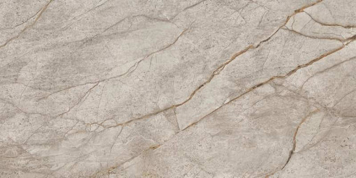Керамогранит Atlas Concorde Russia Empire Silver Root Lapp 60x120