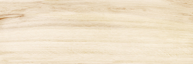 Настенная плитка Delacora Canyon Wood WT15CAC08R 24,6x74