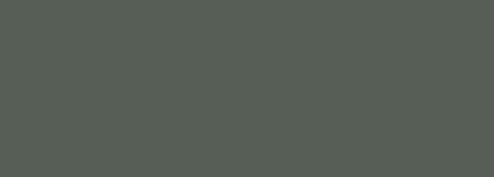 Настенная плитка Eletto Ceramica Foresta Verde 24,2x70