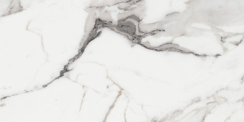 Керамогранит Rex Ceramiche Les Origines Argent Glossy Ret 60x120