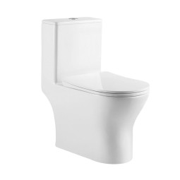 Унитаз компакт BelBagno Lounge BB8618CPR-MN/SC