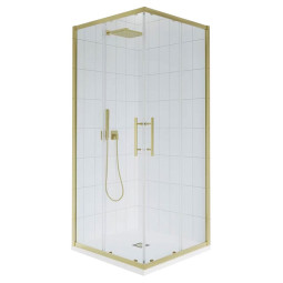 Душевой уголок Veconi Evo 300 G 80х110 E3-G-11080-01-C9