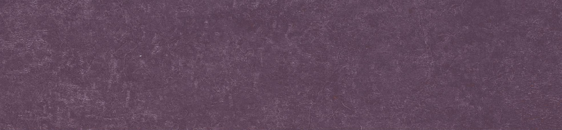 Керамогранит Simpolo Spectra SCS Wine 5,8x25