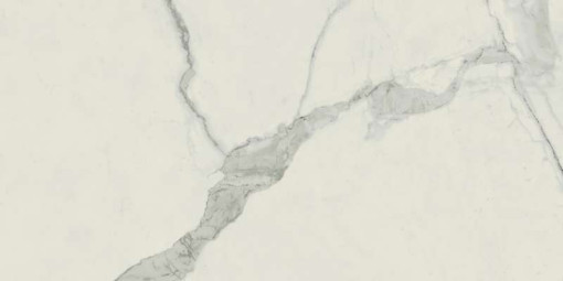 Керамогранит Atlas Concorde Russia Empire Statuario 60x120