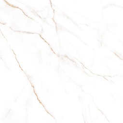 Керамогранит Alma Ceramica Neo Calacatta GFU04NCL04R 60x60