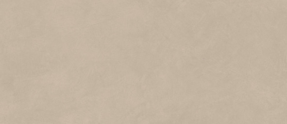 Настенная плитка Atlas Concorde Boost Natural Ash 50x120