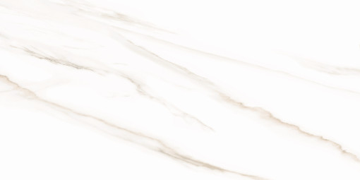 Настенная плитка AltaCera Esprit Calacatta 25x50