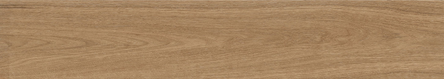 Керамогранит Staro Forest Palm Matt 20х120