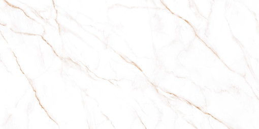 Керамогранит Alma Ceramica Neo Calacatta GFU60120NCL04R 60x120