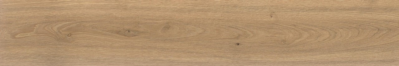 Керамогранит Atlas Concorde Log Icon Oak 20x120