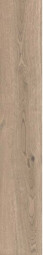 Керамогранит ABK Poetry Wood Ecru Nat Rett 20x120
