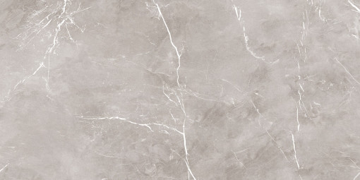 Керамогранит Ariana Ceramica Epoque Grey Ret 60x120