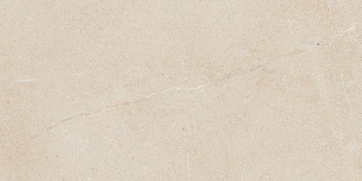Керамогранит Atlas Concorde Russia Forte Dei Marmi Rock Siber. Iv. Rett 60x120
