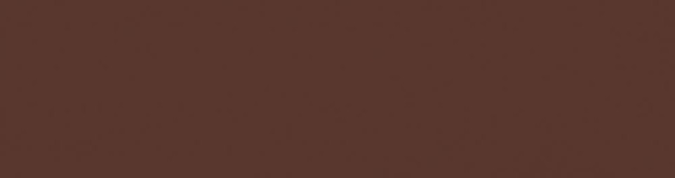 Клинкер Paradyz Natural Brown Elewacja 24x6,5