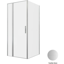 Душевой уголок Allen Brau Priority 90x100 3.31026.BA + 3.31047.BA серебро браш