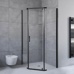 Душевой угол Royal Bath TR 100х100 RB100TR-T-BL