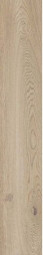 Керамогранит ABK Poetry Wood Gold Nat Rett 20x120