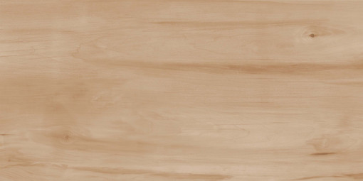 Керамогранит Realistik Paint Wood Bone Matt 60х120