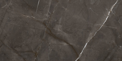 Керамогранит Laparet Timeless Marrone Коричневый LP6012G0051R Матовый Карвинг 59,5x119,1