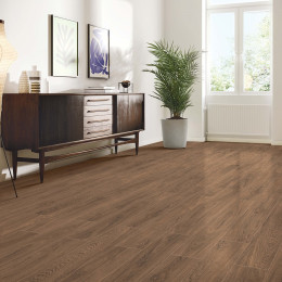 American Walnut