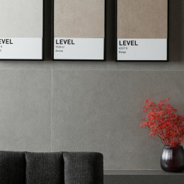 Level